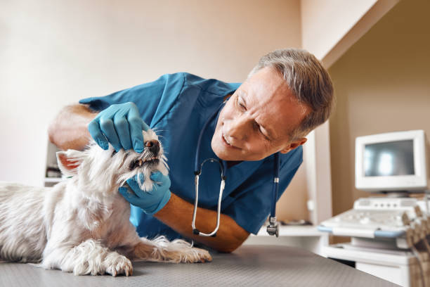 Best Emergency Root Canal Treatment in Groveport, OH